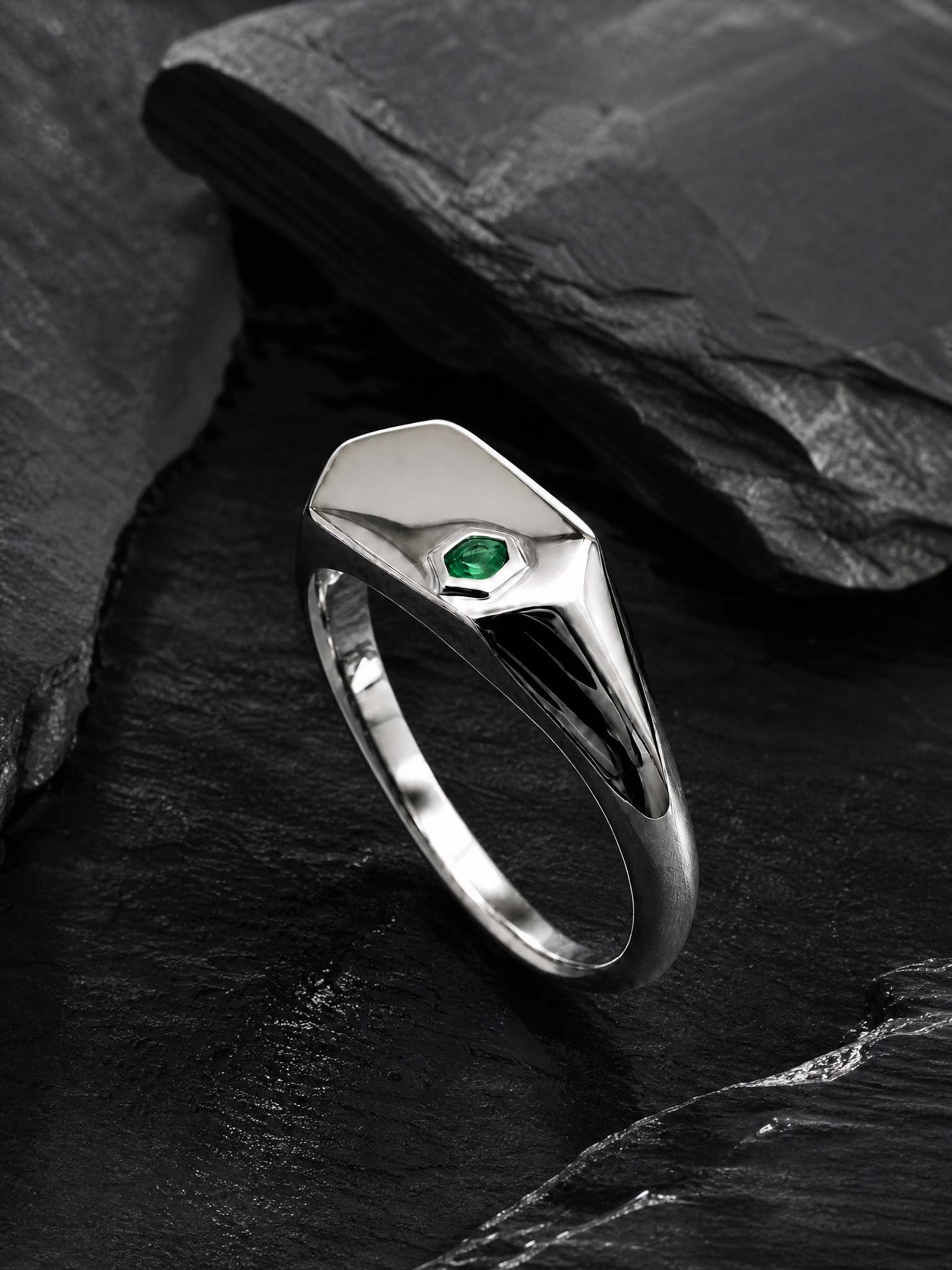 Causeway Signet Ring Silver